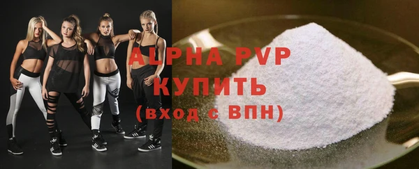 крисы Баксан