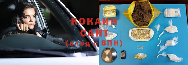 крисы Баксан