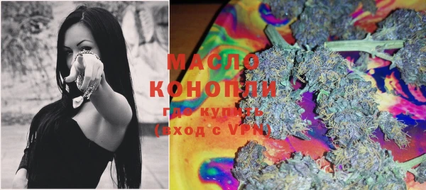 крисы Баксан