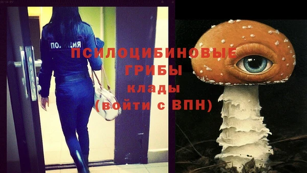 крисы Баксан