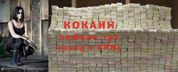 крисы Баксан
