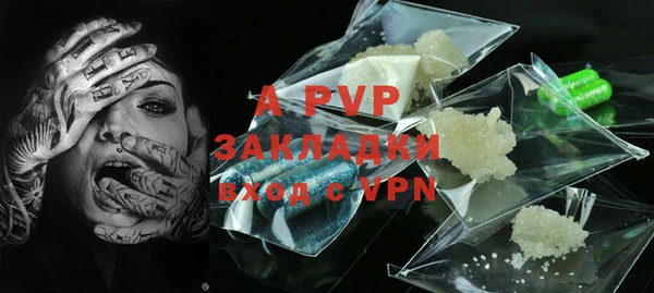 крисы Баксан