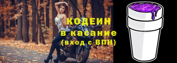 крисы Баксан