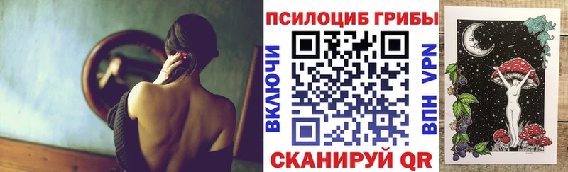магазин продажи наркотиков  Ленск  ссылка на мегу вход  Псилоцибиновые грибы Psilocybe 